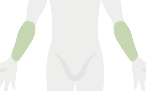 両ひじ下イラスト