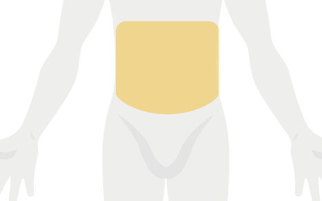 腹部下イラスト