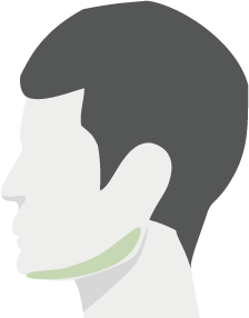 あご裏イラスト