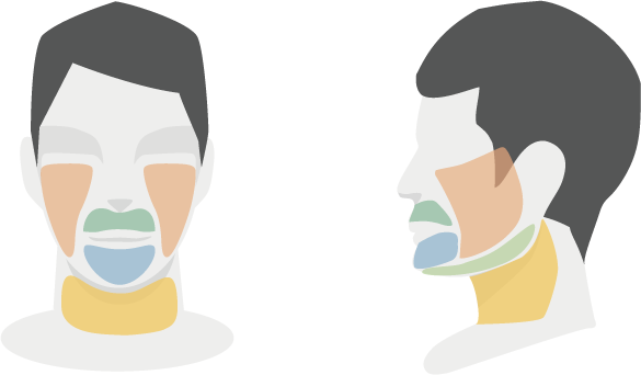 顔3部位イラスト